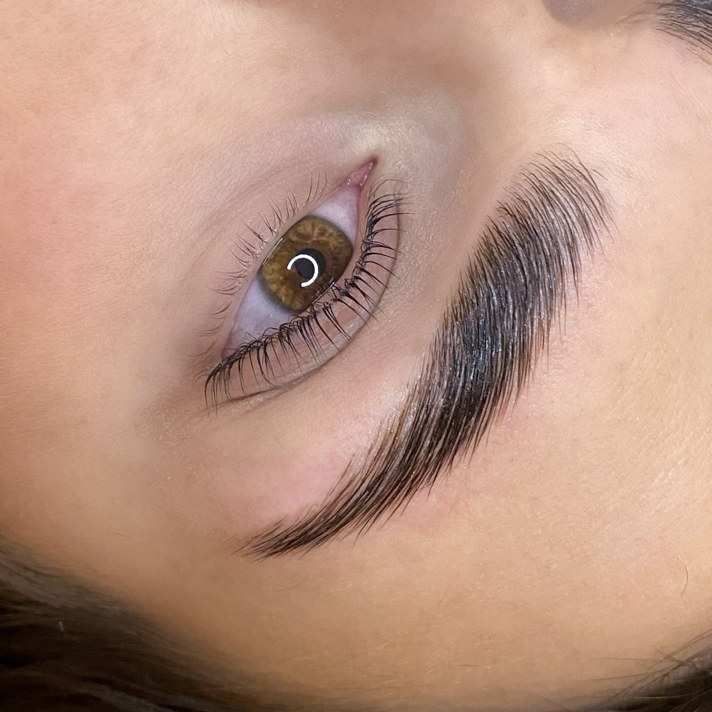 Lashes & Browns Erfurt